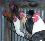 Two of the six remain